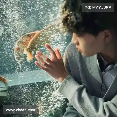 嵇亮亮